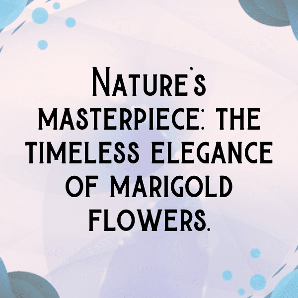 Marigold Captions Image For Instagram-RU5H5G