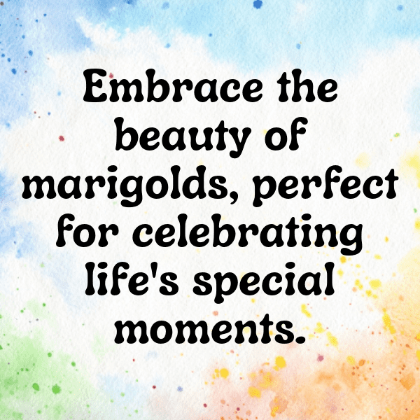 Marigold Captions Photo For Instagram-Eoy0oE
