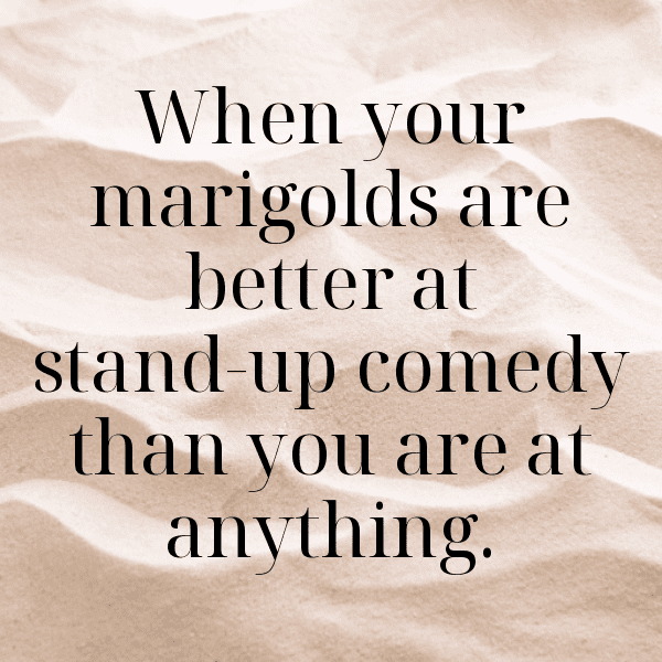 Marigold Captions Photo For Instagram-XeRJ1s