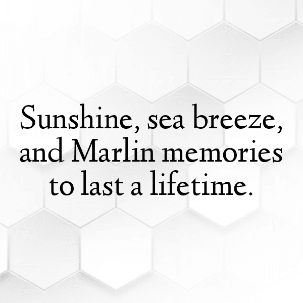 203+ Marlin Captions For Instagram (Short, Trending & Viral) 7 Marlin Captions Image For Instagram-Q4Dbjg