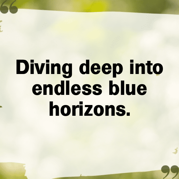 203+ Marlin Captions For Instagram (Short, Trending & Viral) 8 Marlin Captions Photo For Instagram-l9664A