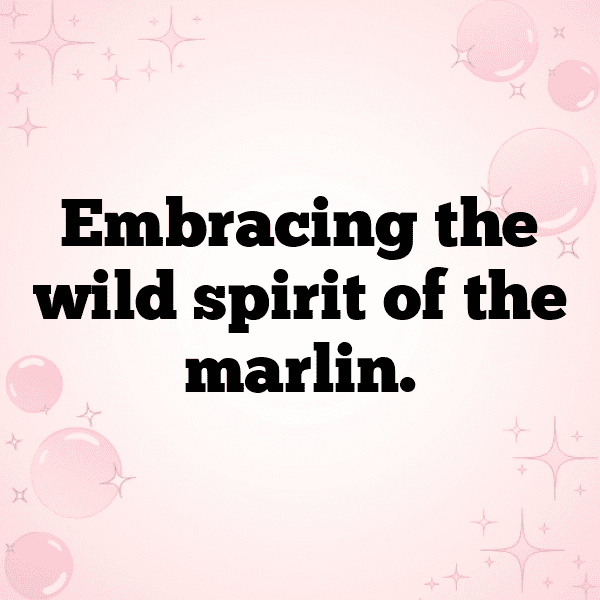 203+ Marlin Captions For Instagram (Short, Trending & Viral) 10 Marlin Captions Photo For Instagram-veBAUg