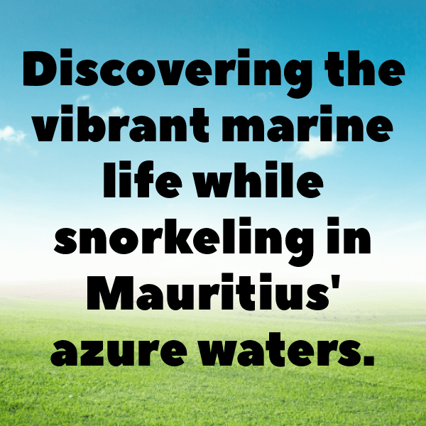 271+ Mauritius Captions For Instagram (Best, Funny & Short) 7 Mauritius Captions Image For Instagram-aaMYIU