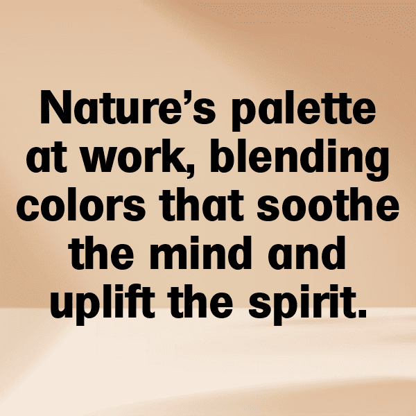 Meadow Walk Captions Photo for Instagram-3Nmvdh