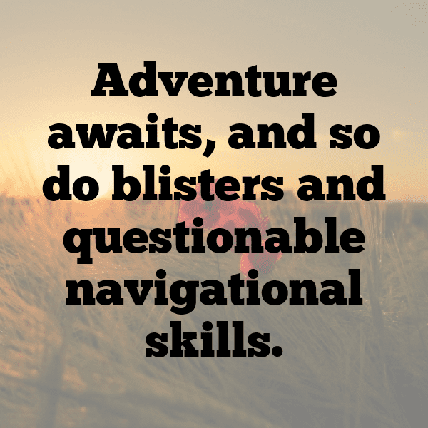 Meadow Walk Captions Photo for Instagram-FqwDj4