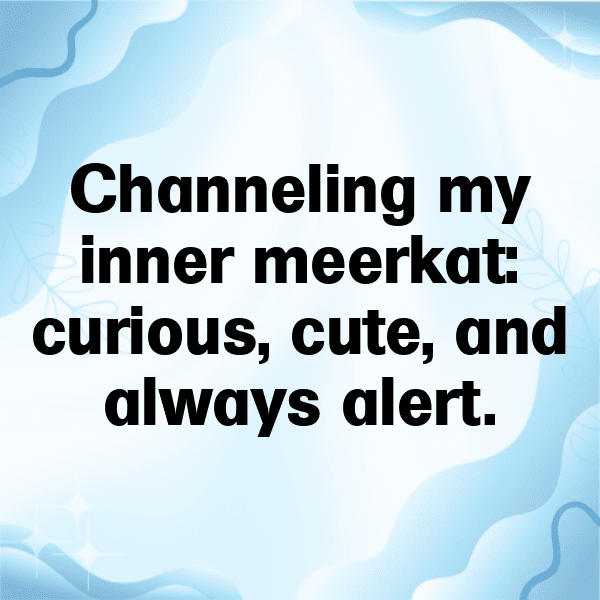 Meerkat Captions Image For Instagram-SdGOO7