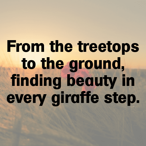 Meerkat Captions Image For Instagram-vh1BJh