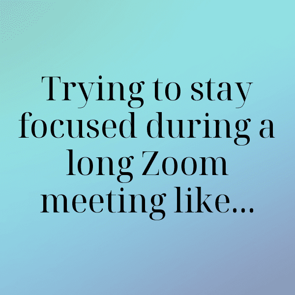 Meerkat Captions Photo For Instagram-b1g59h