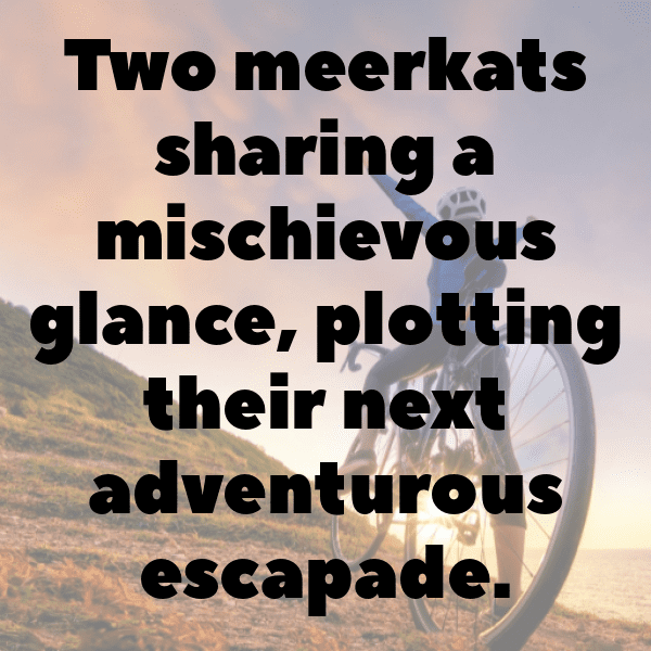 Meerkat Captions Photo For Instagram-GNBPkh