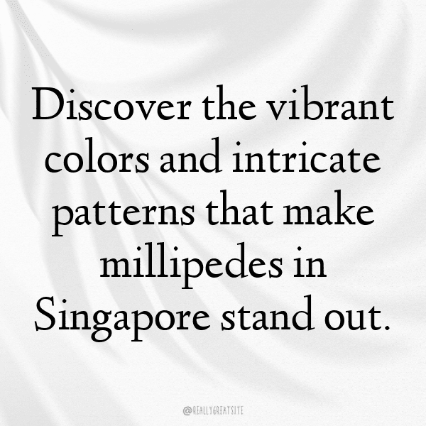 244+ Millipede Captions For Instagram In 2025 8 Millipede Captions Image For Instagram-bBytpP