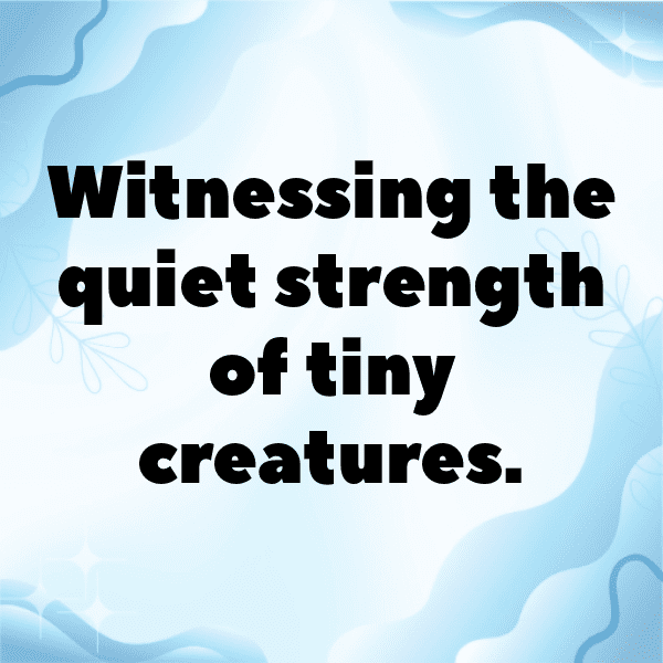 244+ Millipede Captions For Instagram In 2025 6 Millipede Captions Photo For Instagram-0wYebR