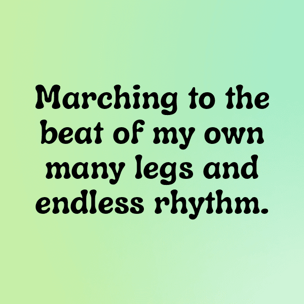 244+ Millipede Captions For Instagram In 2025 4 Millipede Captions Photo For Instagram-O916DY