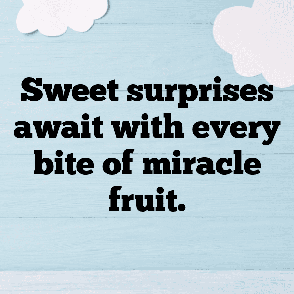 240+ Miracle Fruit Captions For Instagram (Short, Trending & Viral) 10 Miracle Fruit Captions Image For Instagram-7ZTNpO