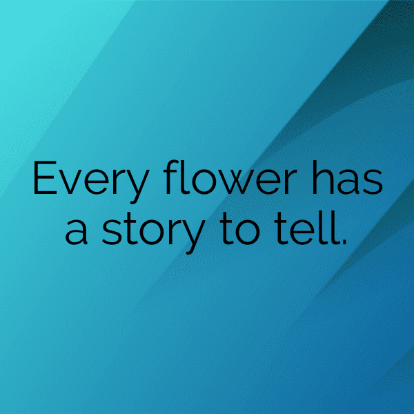 Monkshood Captions Image For Instagram-ltPd9M