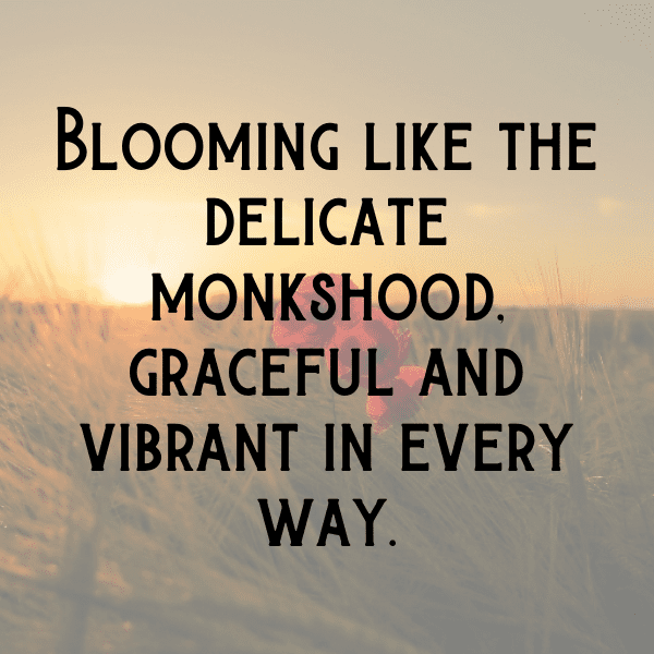 Monkshood Captions Photo For Instagram-gI75U2