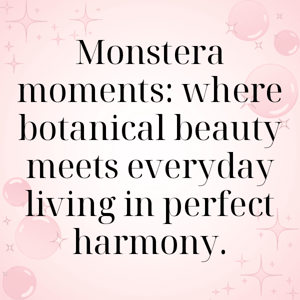 326+ Monstera Deliciosa Captions For Instagram (Trending, Funny & Top) 3 Monstera Deliciosa Captions Image For Instagram-4tDGwm