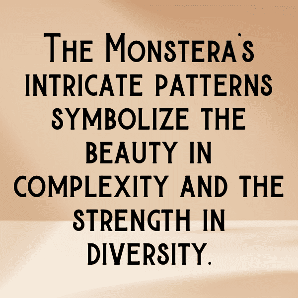 326+ Monstera Deliciosa Captions For Instagram (Trending, Funny & Top) 5 Monstera Deliciosa Captions Image For Instagram-NxoXvr