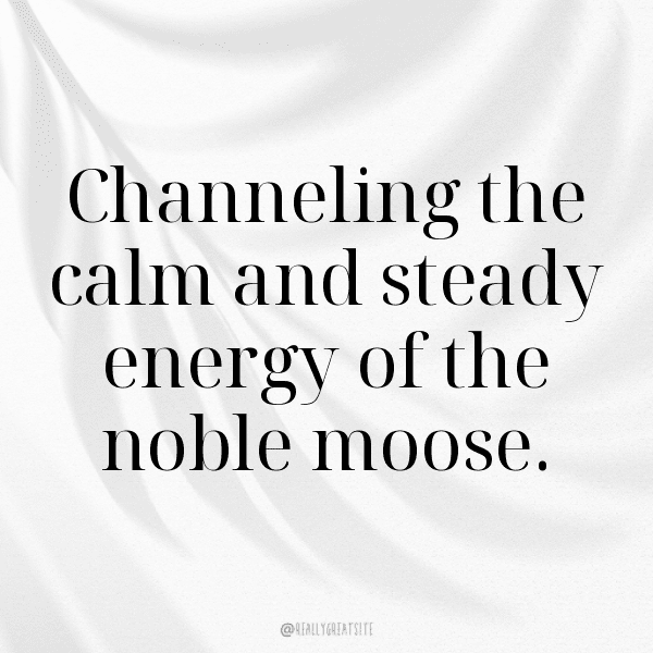 Moose Captions Image For Instagram-rxGvsq