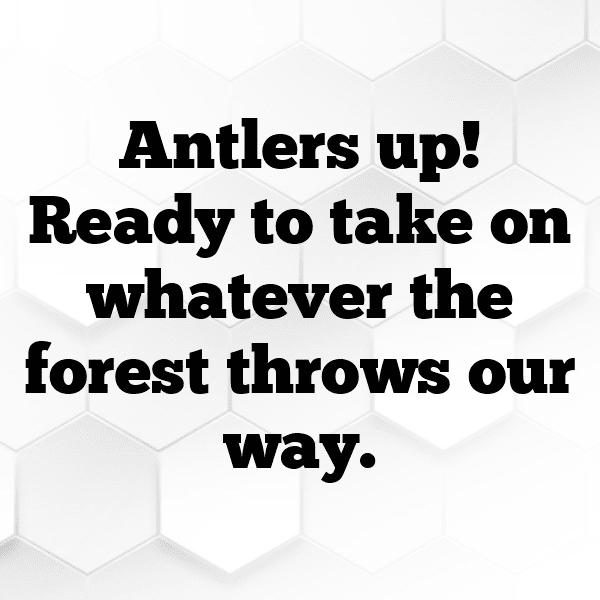 Moose Captions Photo For Instagram-E6x7Ee