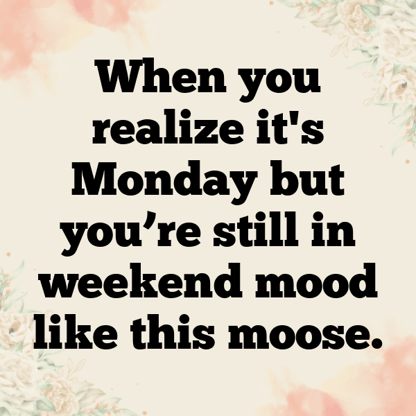 Moose Captions Photo For Instagram-mtdOpr