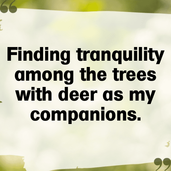 Moose Captions Photo For Instagram-XiPMYp