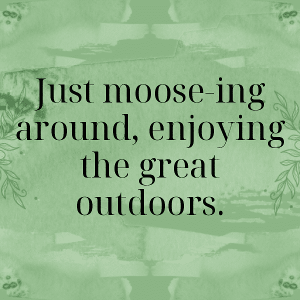 Moose Captions Photo For Instagram-xzJ745