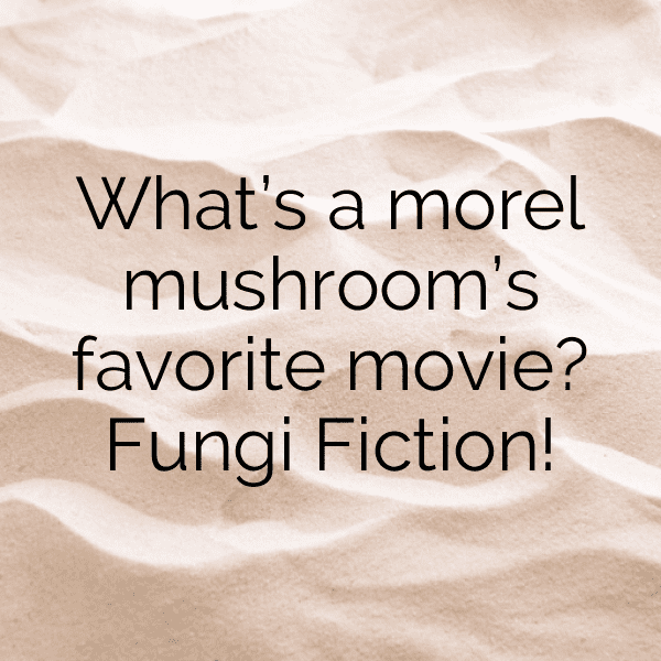 329+ Morel Mushroom Captions For Instagram In 2025 5 Morel Mushroom Captions Photo For Instagram-1ePKBf