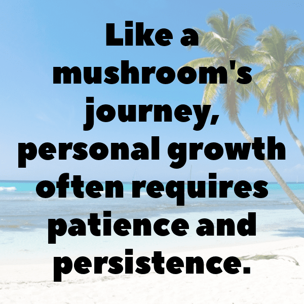 329+ Morel Mushroom Captions For Instagram In 2025 8 Morel Mushroom Captions Photo For Instagram-i9DEdU