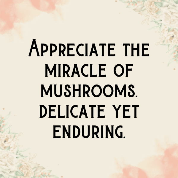 329+ Morel Mushroom Captions For Instagram In 2025 9 Morel Mushroom Captions Photo For Instagram-WL1W6r