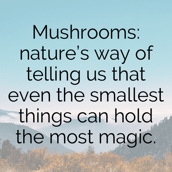 329+ Morel Mushroom Captions For Instagram In 2025 6 Morel Mushroom Captions Photo For Instagram-WY8fq4