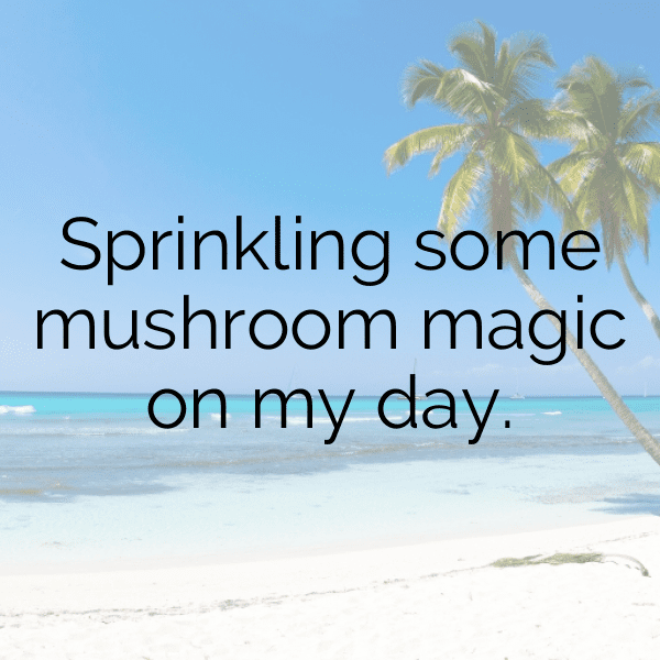 329+ Morel Mushroom Captions For Instagram In 2025 10 Morel Mushroom Captions Photo For Instagram-y5jSev