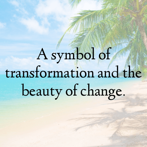 308+ Moth Captions For Instagram (Best, Funny & Short) 12 Moth Captions Image For Instagram-RkNjbv