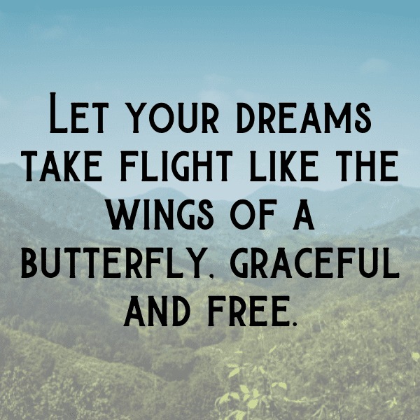 308+ Moth Captions For Instagram (Best, Funny & Short) 3 Moth Captions Photo For Instagram-HBJ3L1