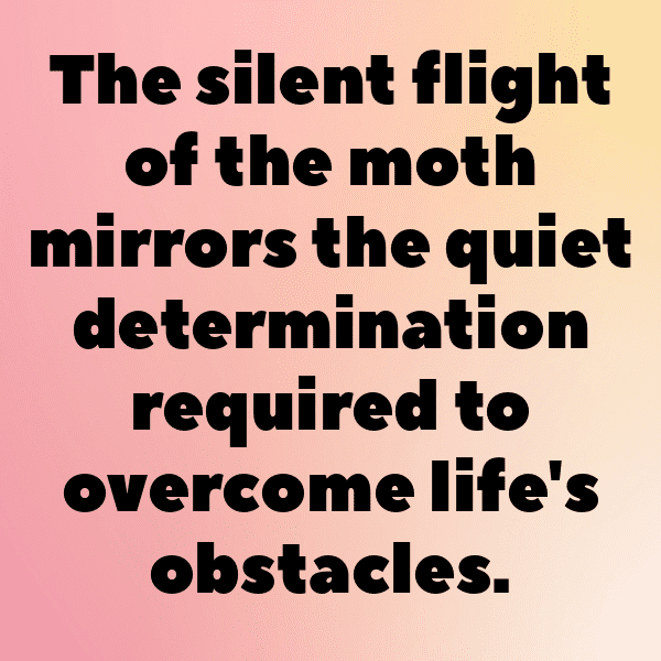 308+ Moth Captions For Instagram (Best, Funny & Short) 7 Moth Captions Photo For Instagram-muG8kM