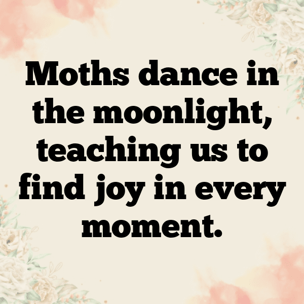 308+ Moth Captions For Instagram (Best, Funny & Short) 9 Moth Captions Photo For Instagram-sc5pEM