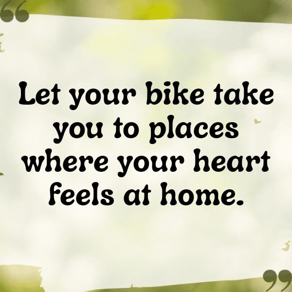 304+ Mountain Biking Captions for Instagram In 2025 14 Mountain Biking Captions Photo for Instagram-We60aw