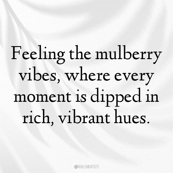 230+ Mulberry Captions For Instagram In 2025 11 Mulberry Captions Image For Instagram-iGe52R