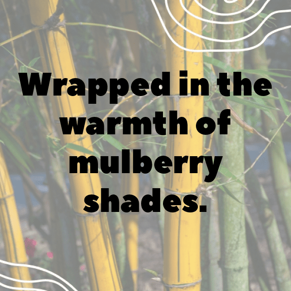 230+ Mulberry Captions For Instagram In 2025 5 Mulberry Captions Image For Instagram-xdsW57