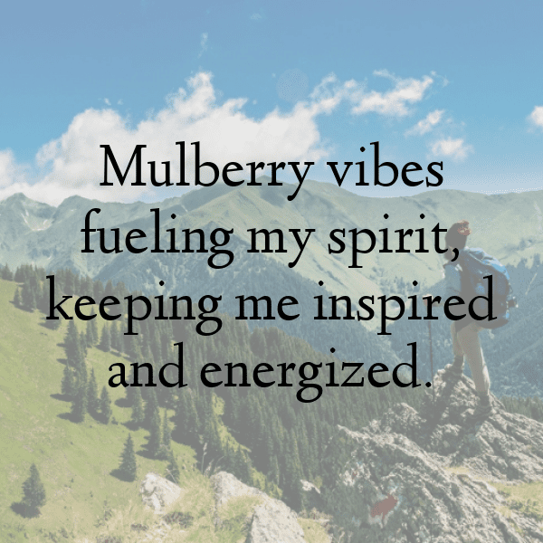 230+ Mulberry Captions For Instagram In 2025 15 Mulberry Captions Photo For Instagram-4ECW4z