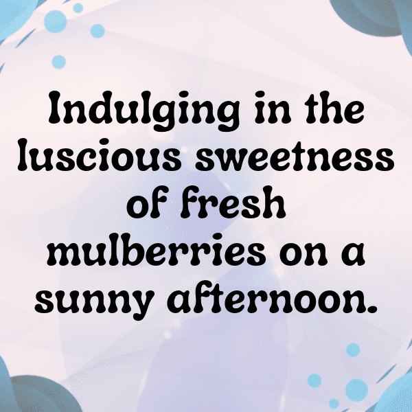 230+ Mulberry Captions For Instagram In 2025 13 Mulberry Captions Photo For Instagram-hDNDfS