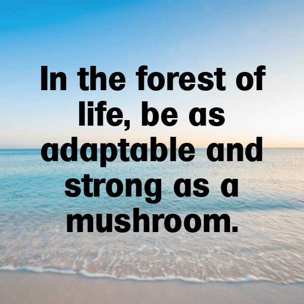 251+ Mushroom Captions For Instagram (Fresh & Trendy) 9 Mushroom Captions Image For Instagram-M1rWHA