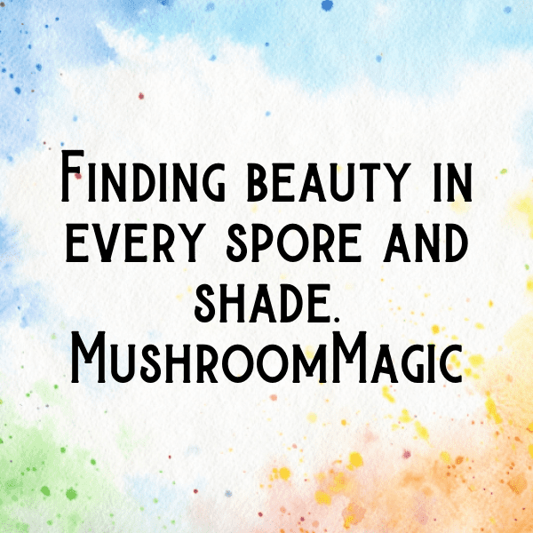 251+ Mushroom Captions For Instagram (Fresh & Trendy) 16 Mushroom Captions Image For Instagram-rZvUvi