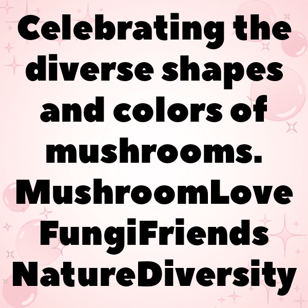 251+ Mushroom Captions For Instagram (Fresh & Trendy) 8 Mushroom Captions Image For Instagram-YHa3Lq