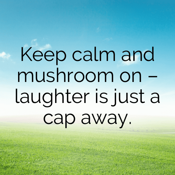 251+ Mushroom Captions For Instagram (Fresh & Trendy) 5 Mushroom Captions Photo For Instagram-jc0Xq7