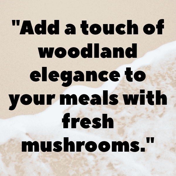 251+ Mushroom Captions For Instagram (Fresh & Trendy) 3 Mushroom Captions Photo For Instagram-KpSrKR