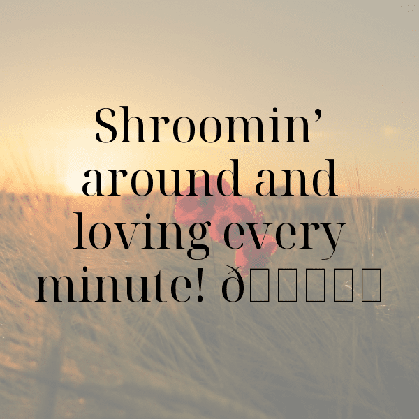 251+ Mushroom Captions For Instagram (Fresh & Trendy) 14 Mushroom Captions Photo For Instagram-zXuCbG