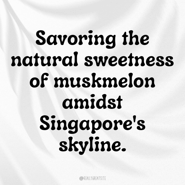 291+ Muskmelon Captions For Instagram In 2025 16 Muskmelon Captions Image For Instagram-9A3bZC