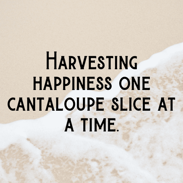 291+ Muskmelon Captions For Instagram In 2025 10 Muskmelon Captions Image For Instagram-UPA6Lu