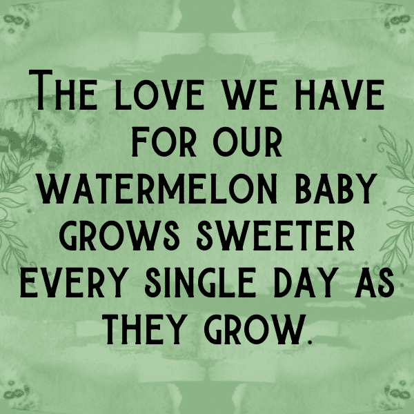 291+ Muskmelon Captions For Instagram In 2025 9 Muskmelon Captions Image For Instagram-vzboGk