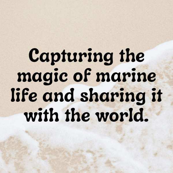 Mussel Captions Image For Instagram-2RUGc0